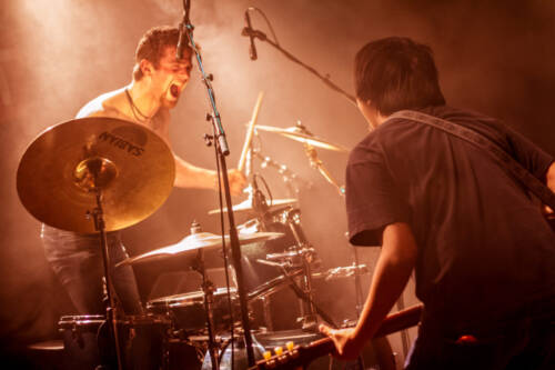 20171202 Mirkwood Spiders Noemi Mueller 9317 1024x683